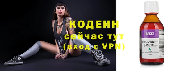 apvp Кодинск