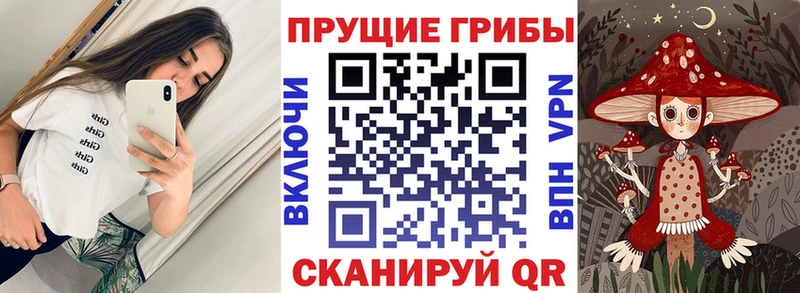 Псилоцибиновые грибы Psilocybine cubensis  Купить  Тамбов 